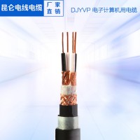 DJYPVP電子計(jì)算機(jī)電纜